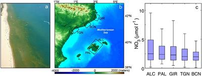 Cross-Shore Environmental Gradients in the Western Mediterranean Coast and Their Influence on Nearshore Phytoplankton Communities